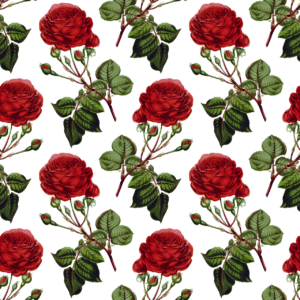 roses, pattern, decorative-4616915.jpg